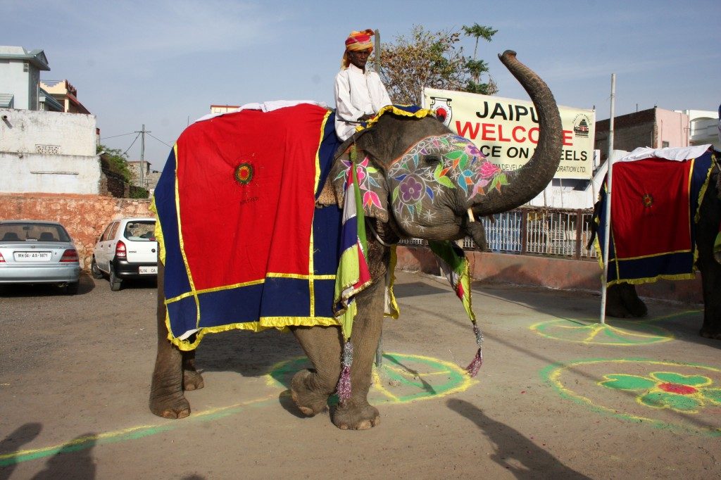 Jaipur Excursion, Palace on Wheels