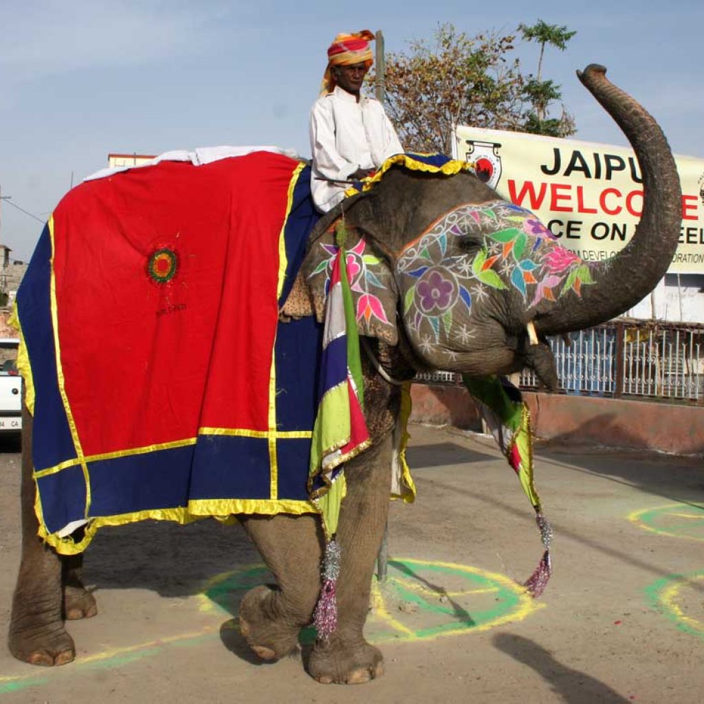 Traditional Welcome in Jaipur