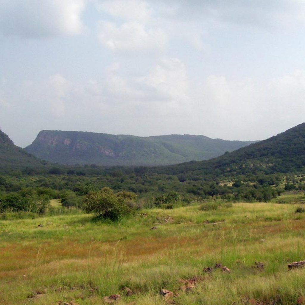 Ranthambore National Park